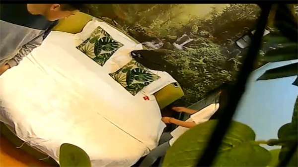 在绿油油的自然房苗条白嫩长发妹子_